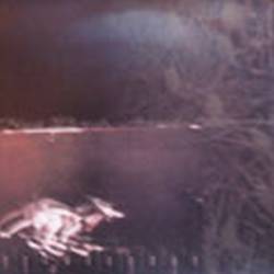 Knut (CH) : Ananda - Knut - Botch